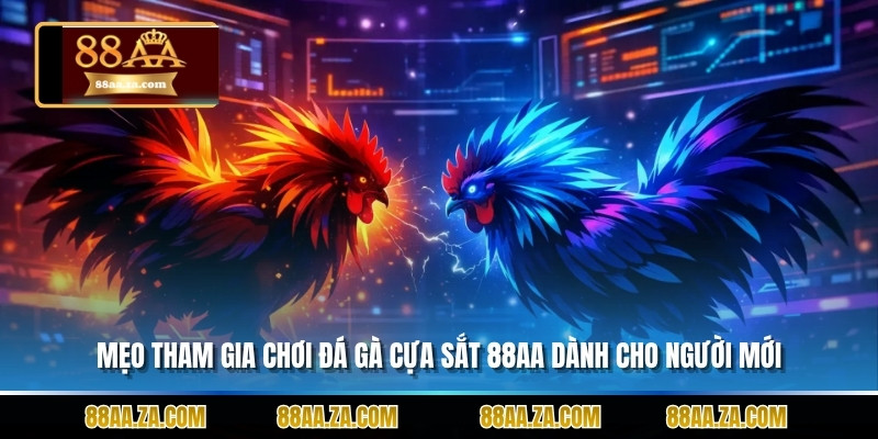 Mẹo tham gia chơi đá gà cựa sắt 88aa dành cho người mới